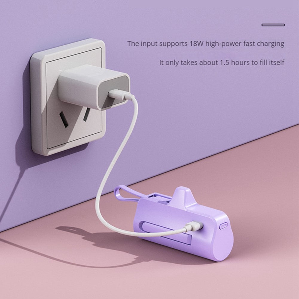 Smartphone Power Bank