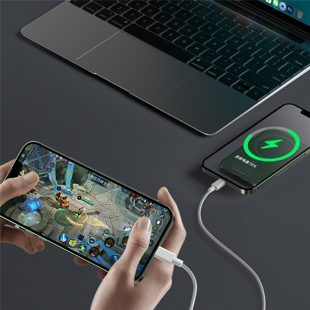 Smartphone Power Bank