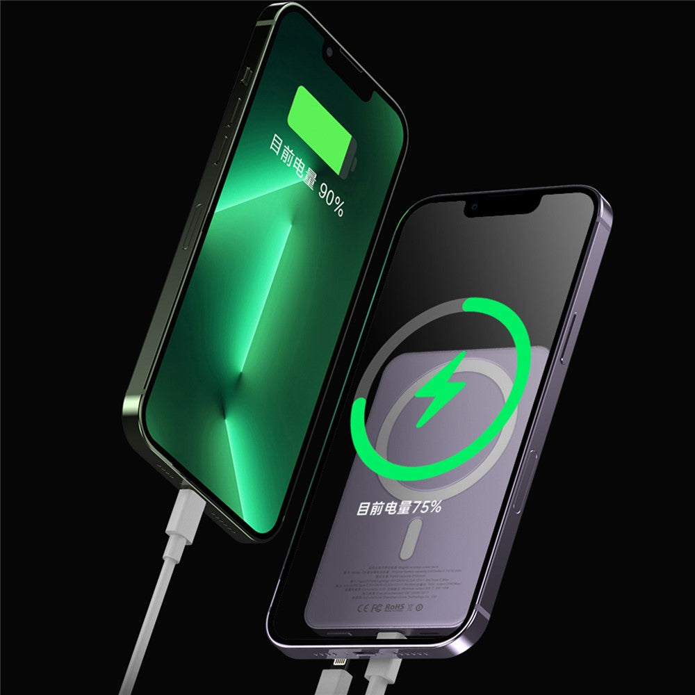 Smartphone Power Bank