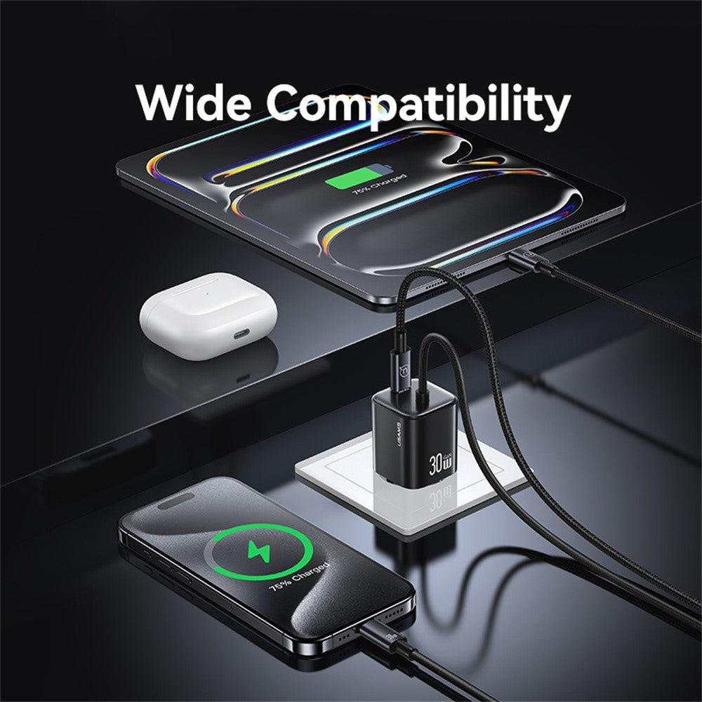 Wall Charger 