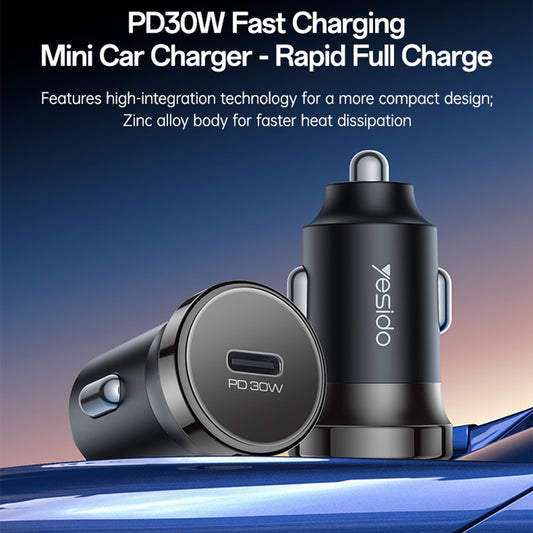 Car Charger 