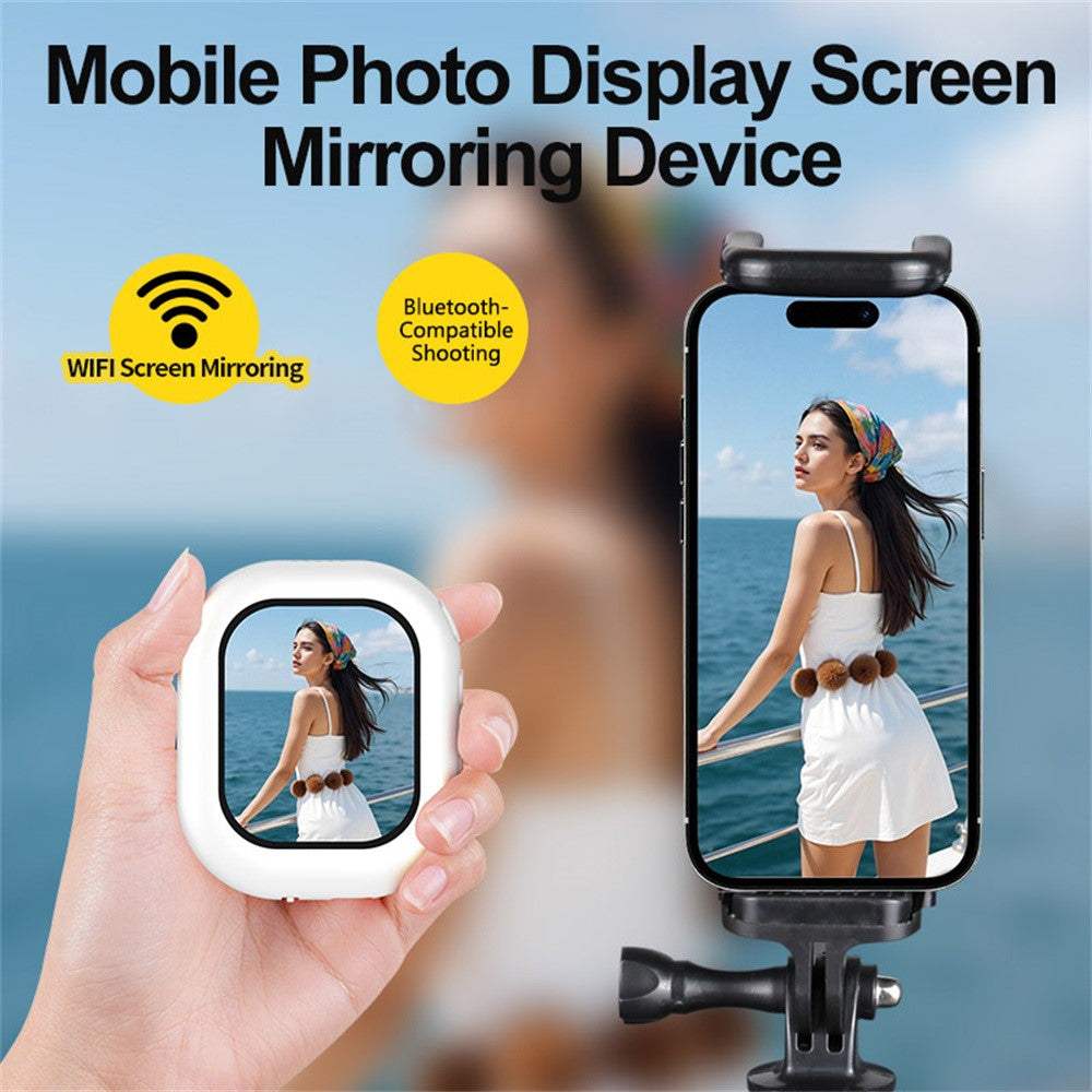 Other Camera Accessories 