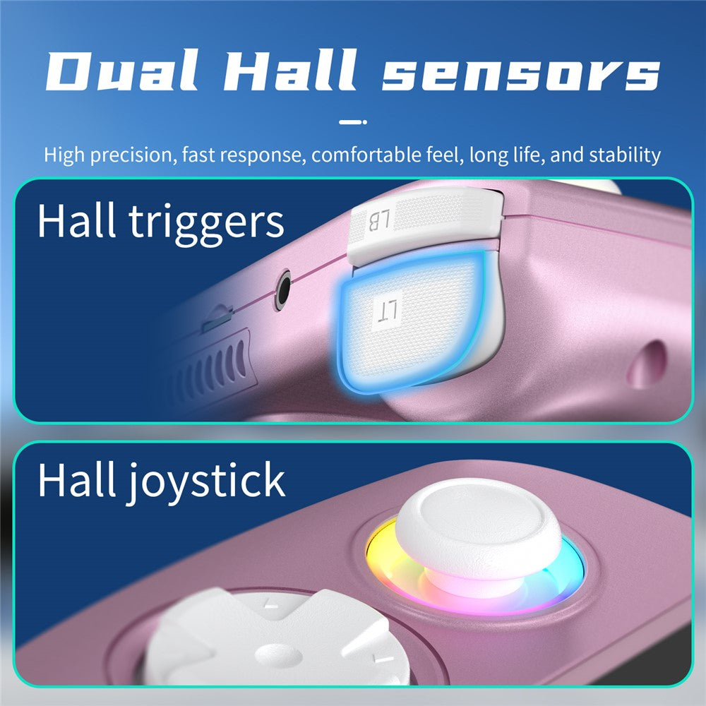 Video Game Consoles