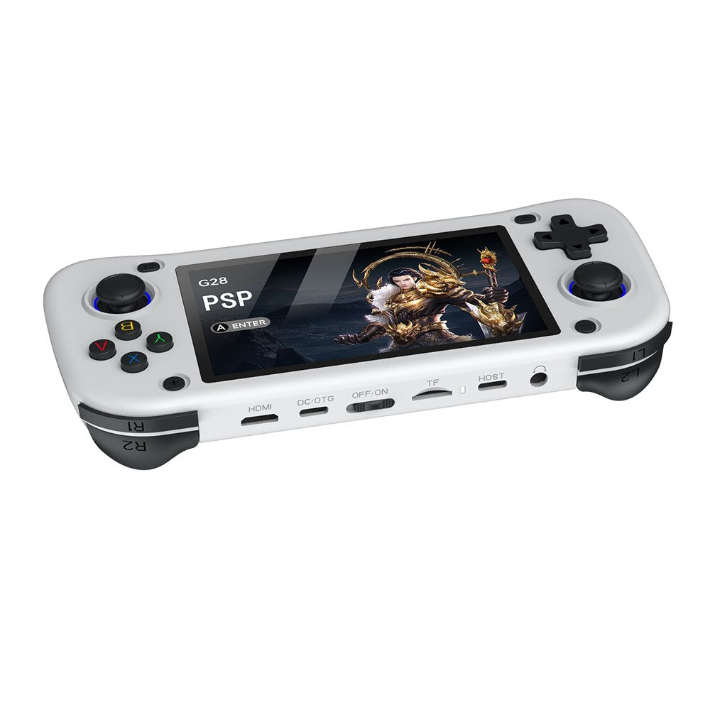 Video Game Consoles