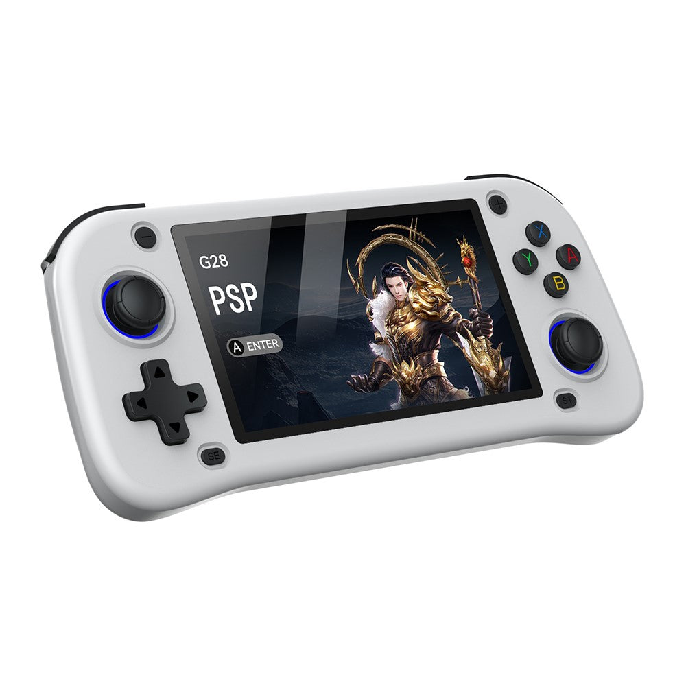 Video Game Consoles