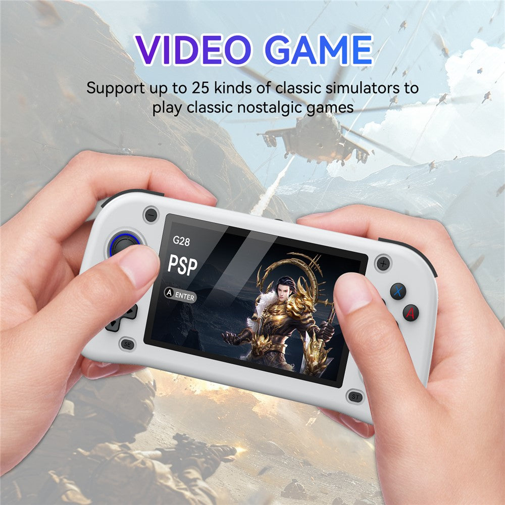 Video Game Consoles