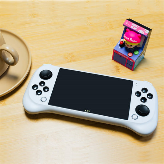 Video Game Consoles
