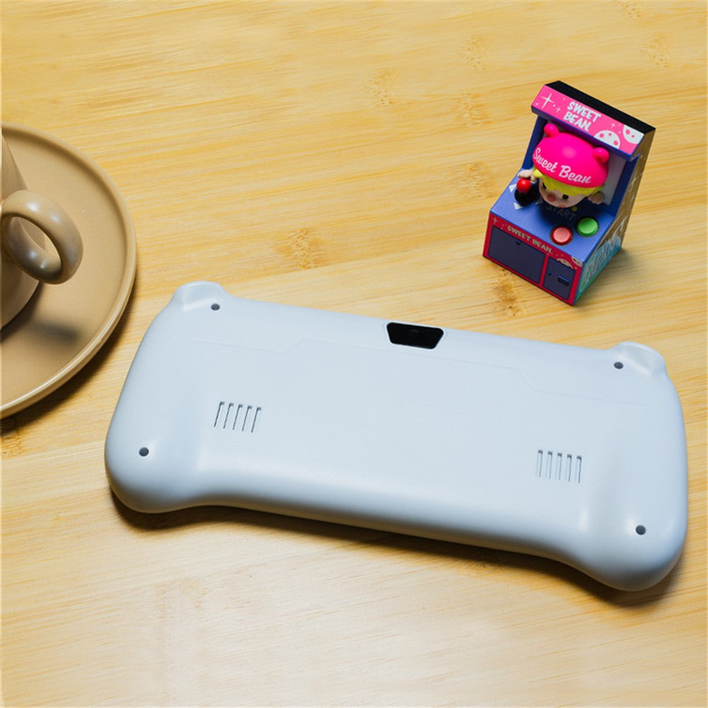 Video Game Consoles