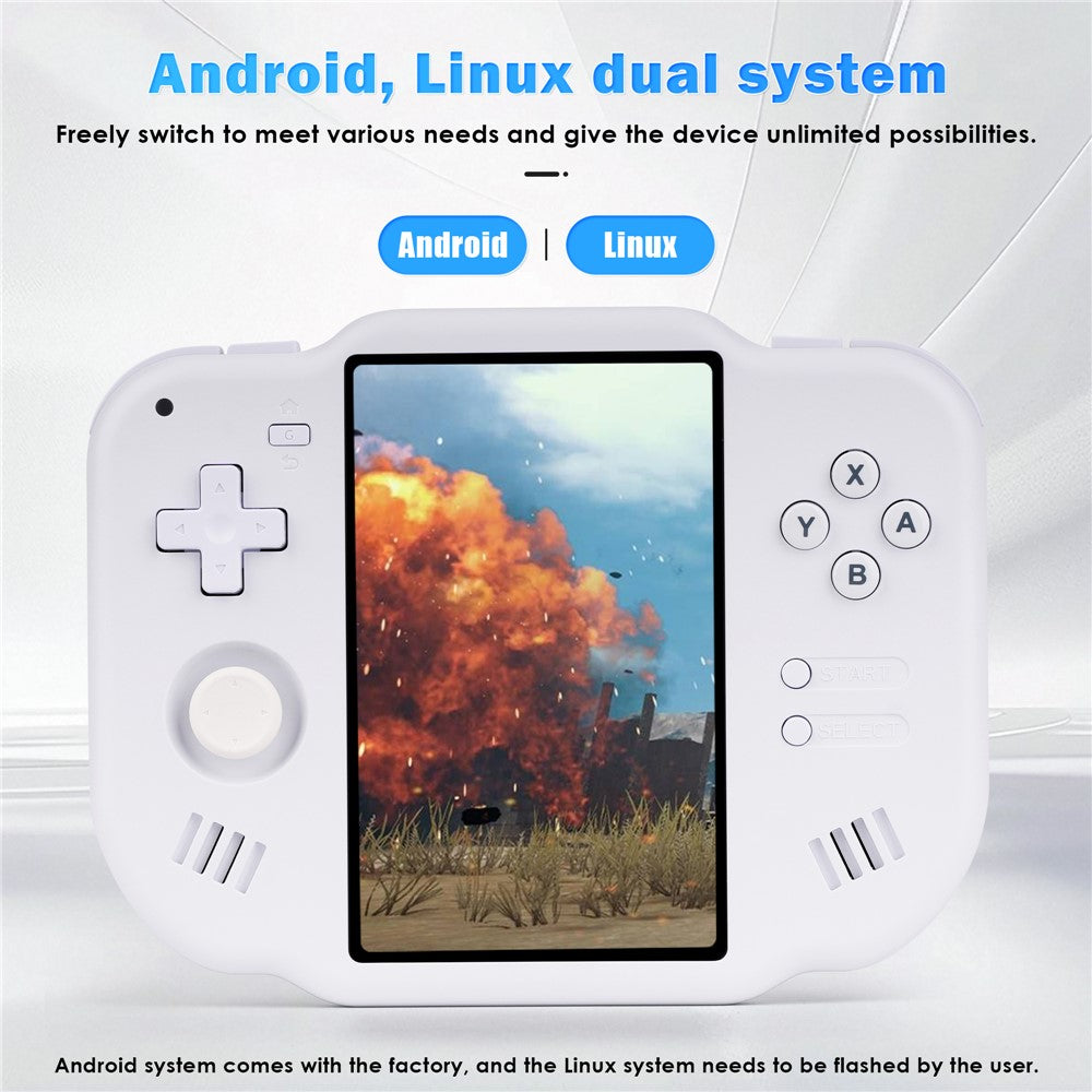Video Game Consoles