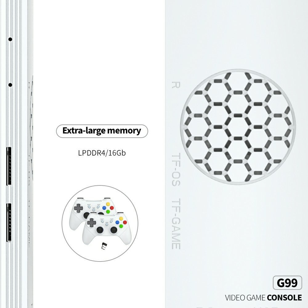 Video Game Consoles