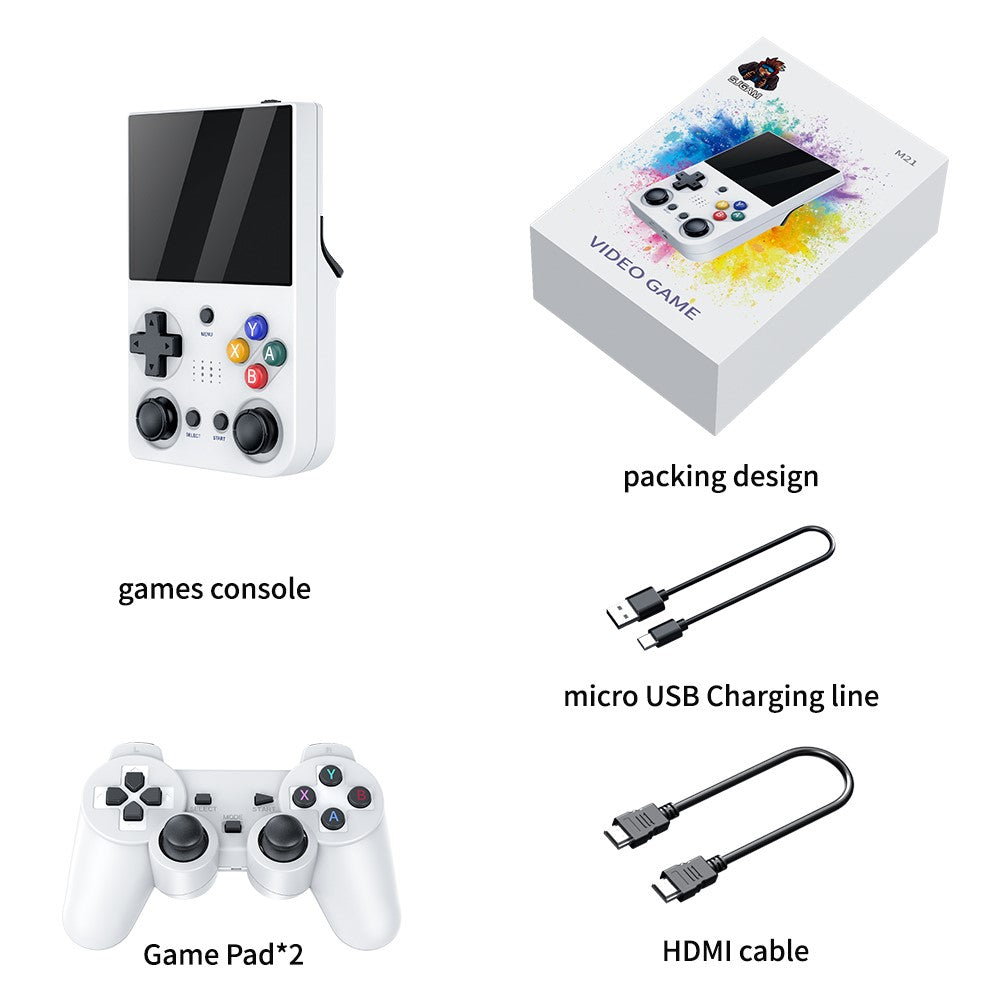 Video Game Consoles