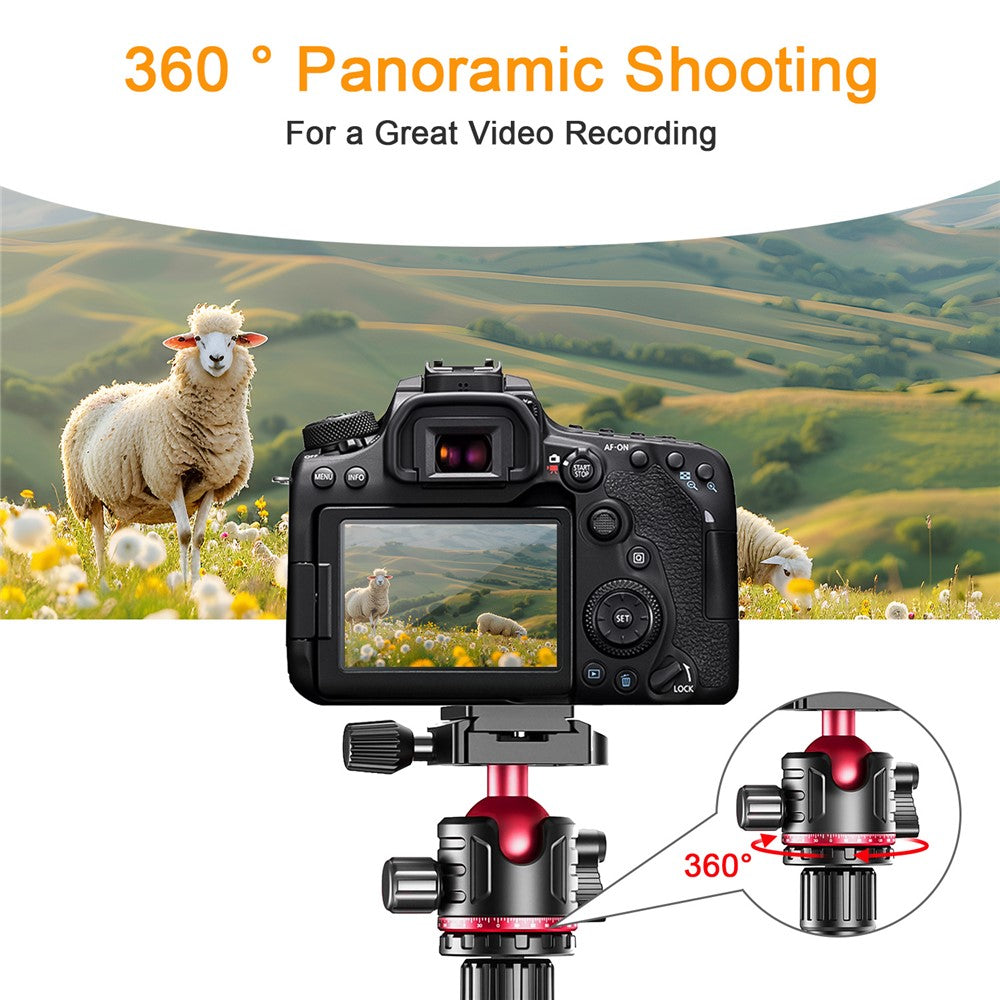 Other Camera Accessories 