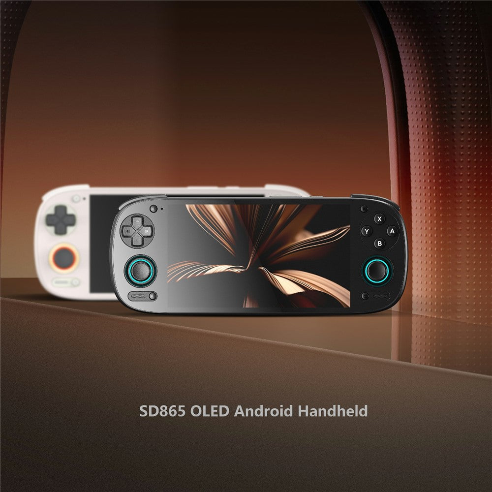 Video Game Consoles