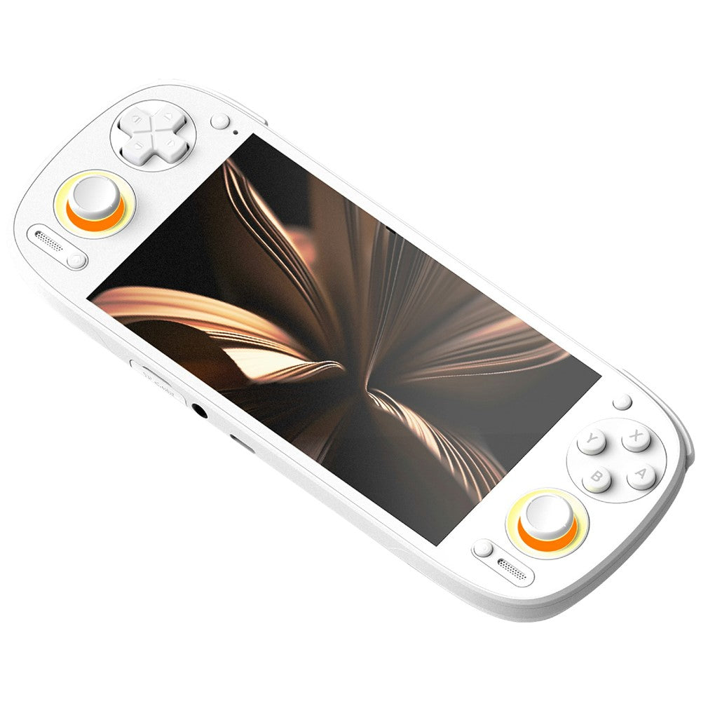 Video Game Consoles