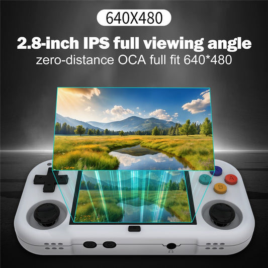 Video Game Consoles
