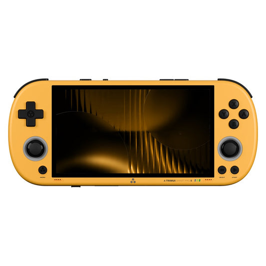 Video Game Consoles