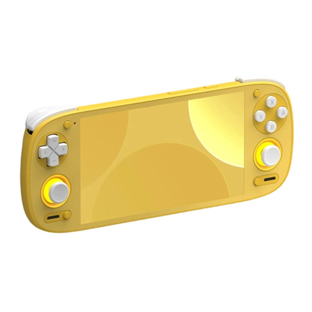 Video Game Consoles