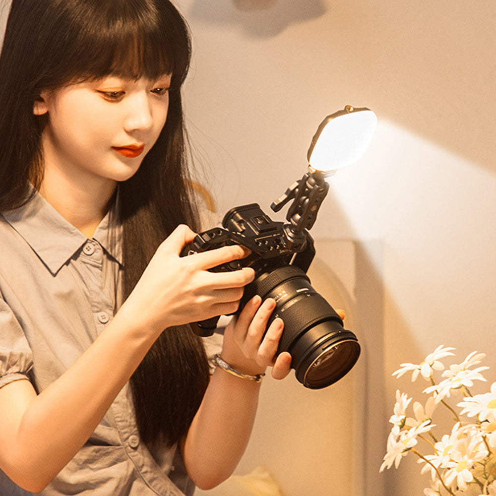 Other Camera Accessories 