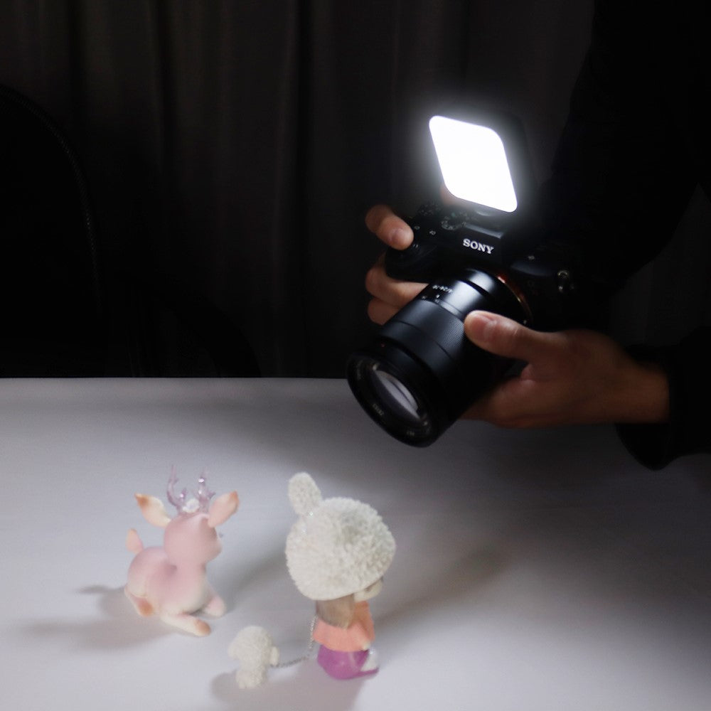Other Camera Accessories 