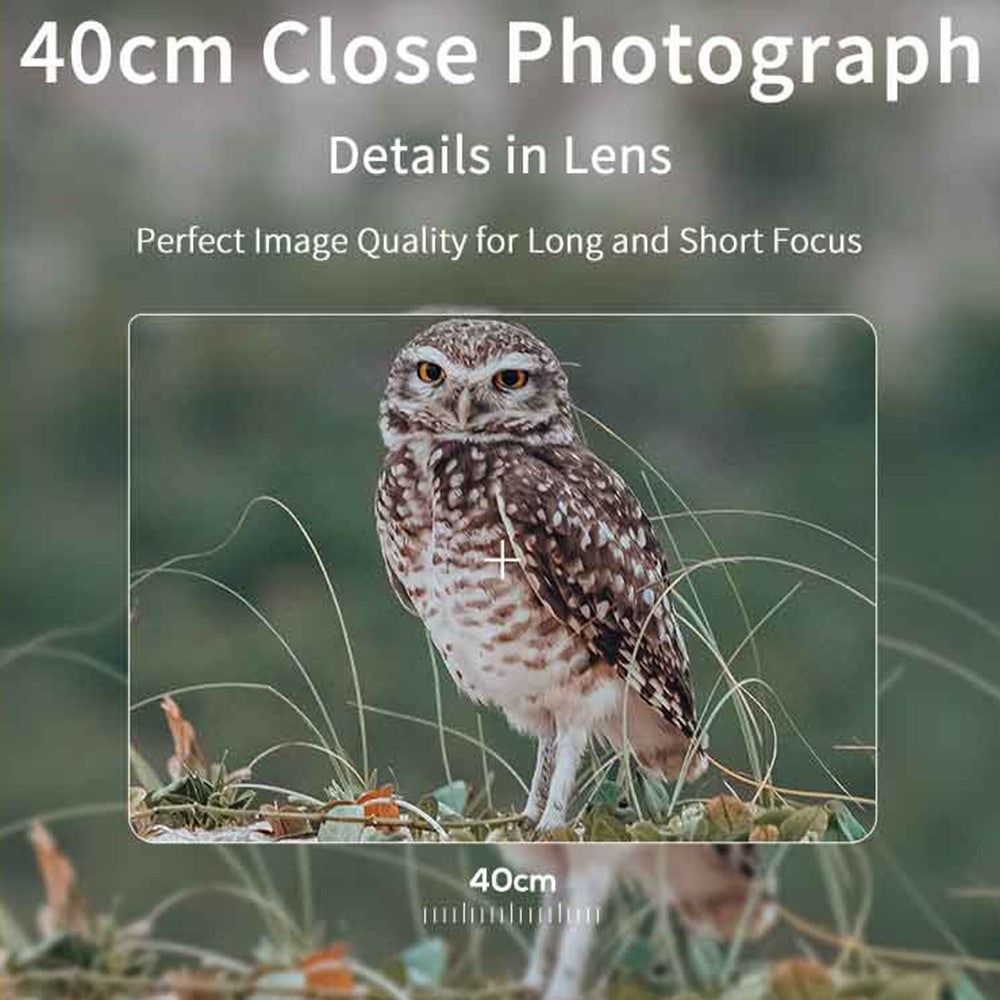 Digital Cameras 
