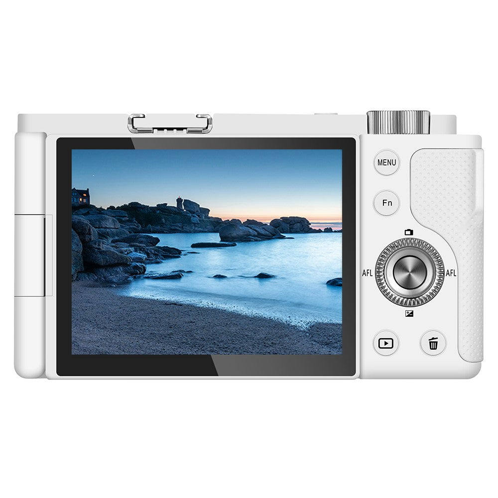 Digital Cameras 