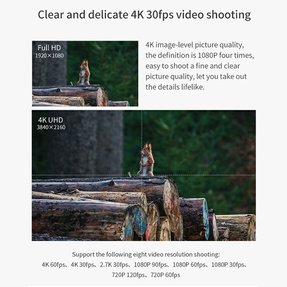 Digital Cameras 