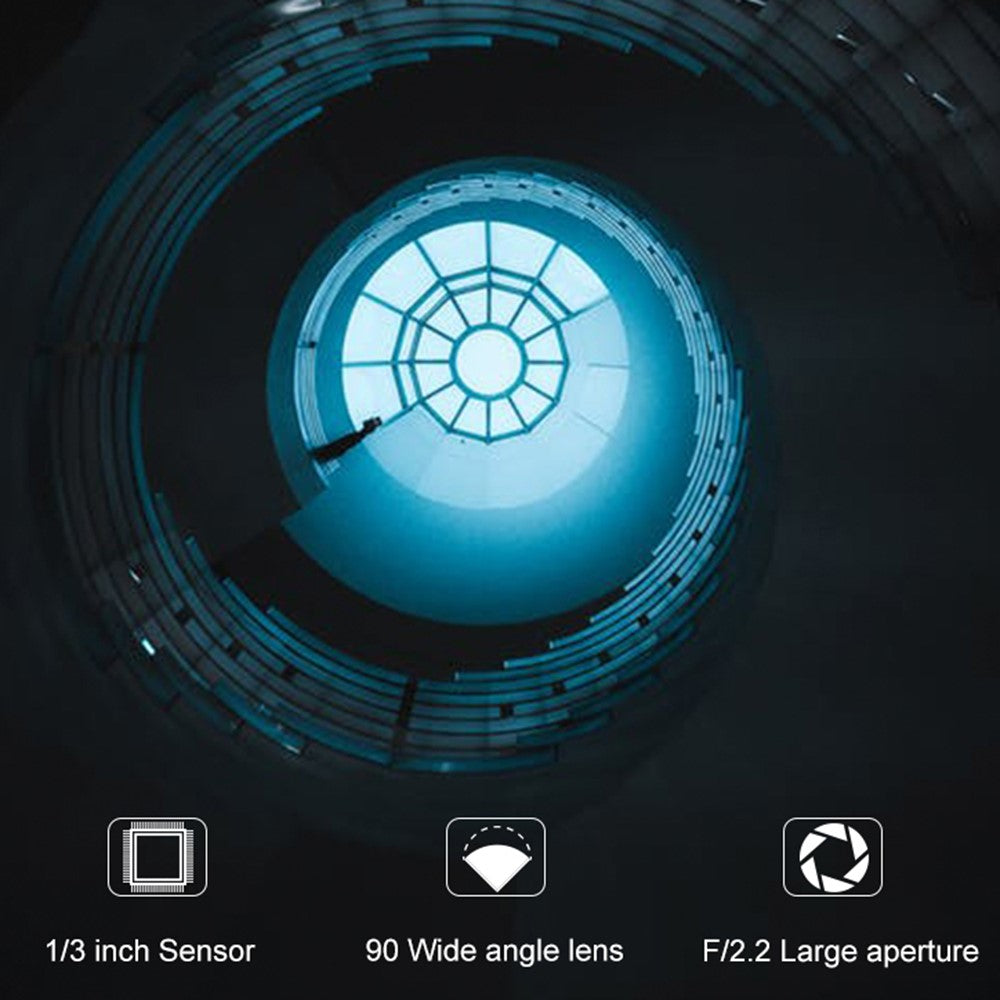 Digital Cameras 