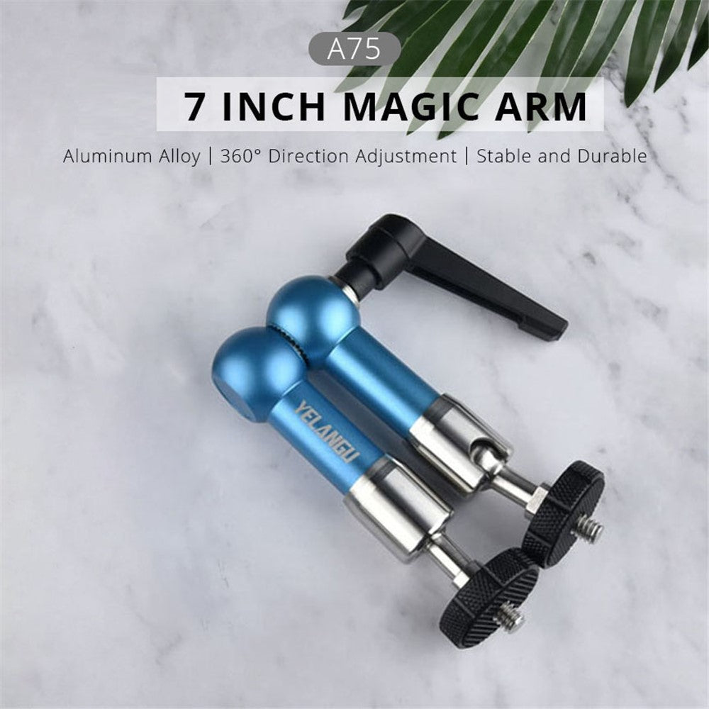 Other Camera Accessories 