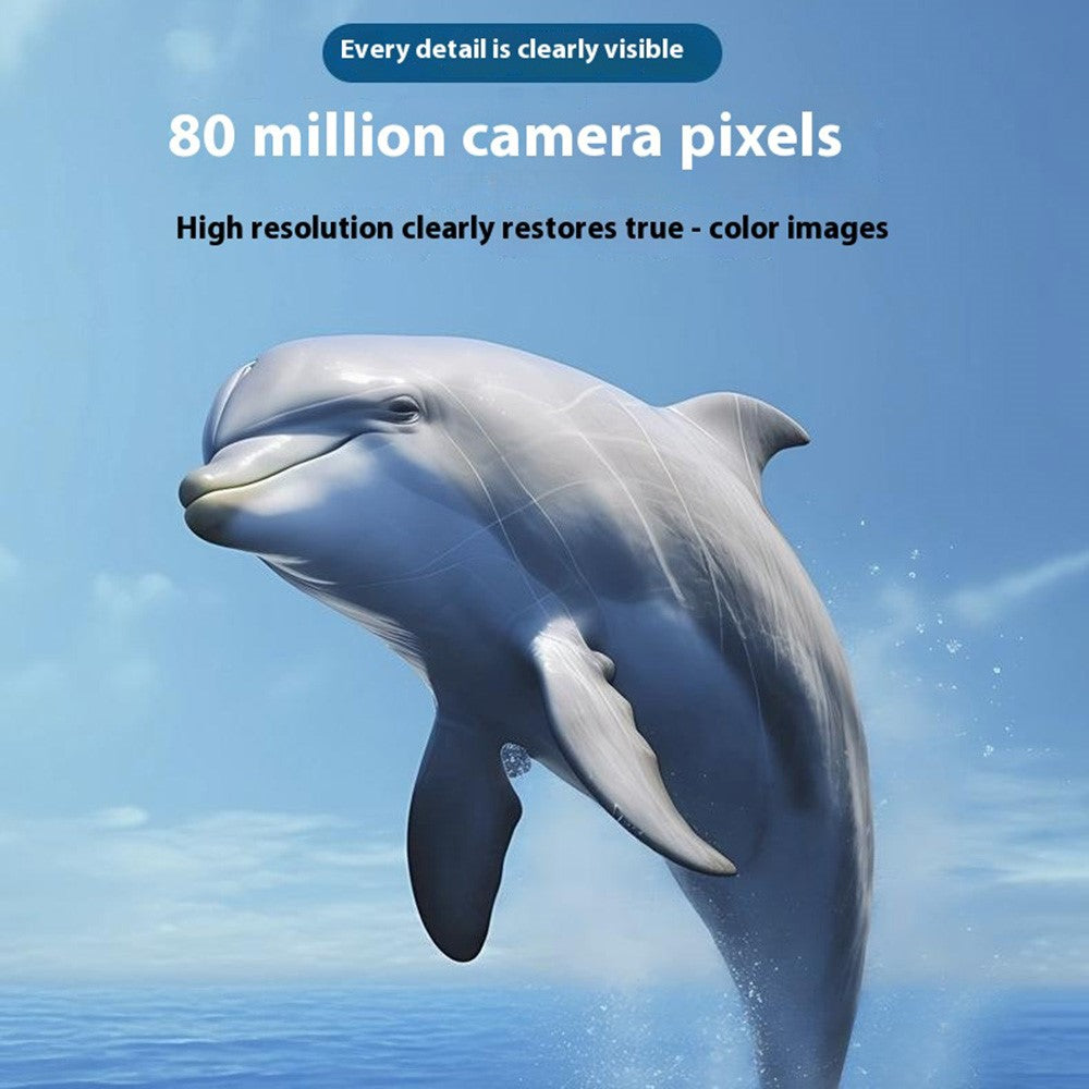 Digital Cameras 