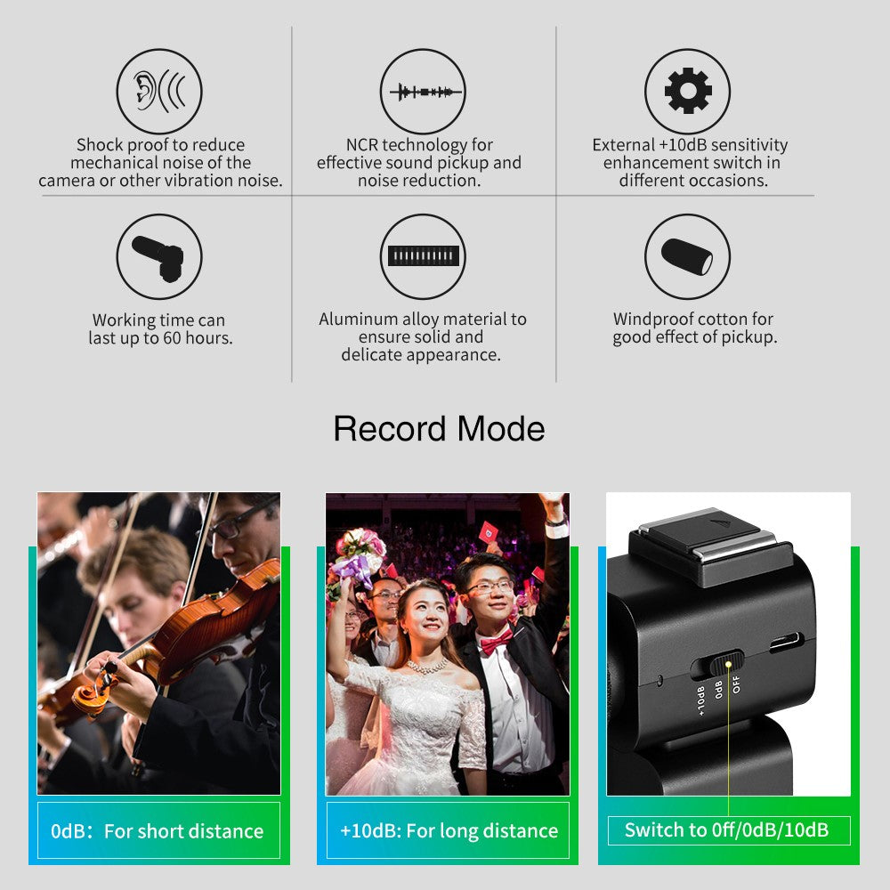 Digital Cameras 