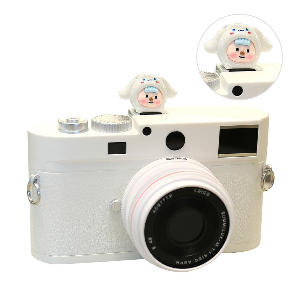 Other Camera Accessories 