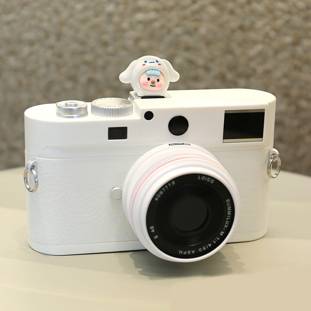 Other Camera Accessories 