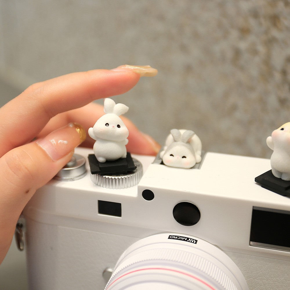 Other Camera Accessories 
