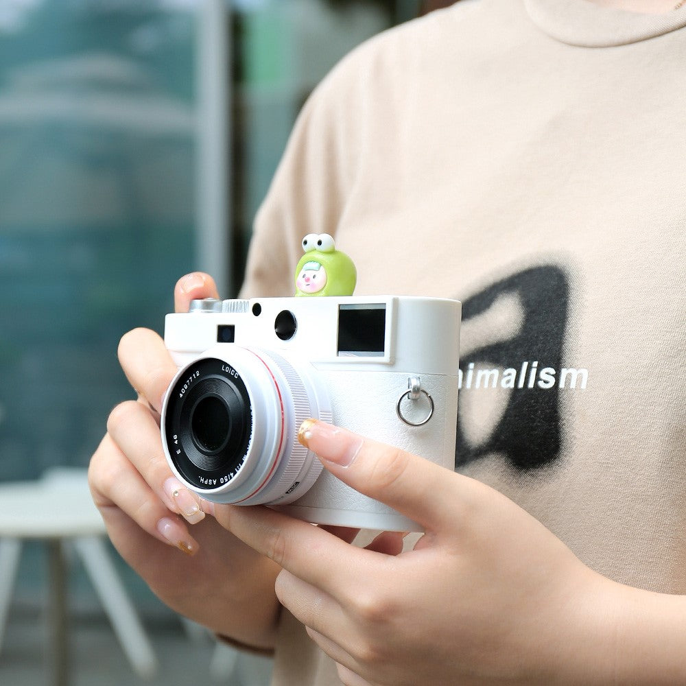 Other Camera Accessories 
