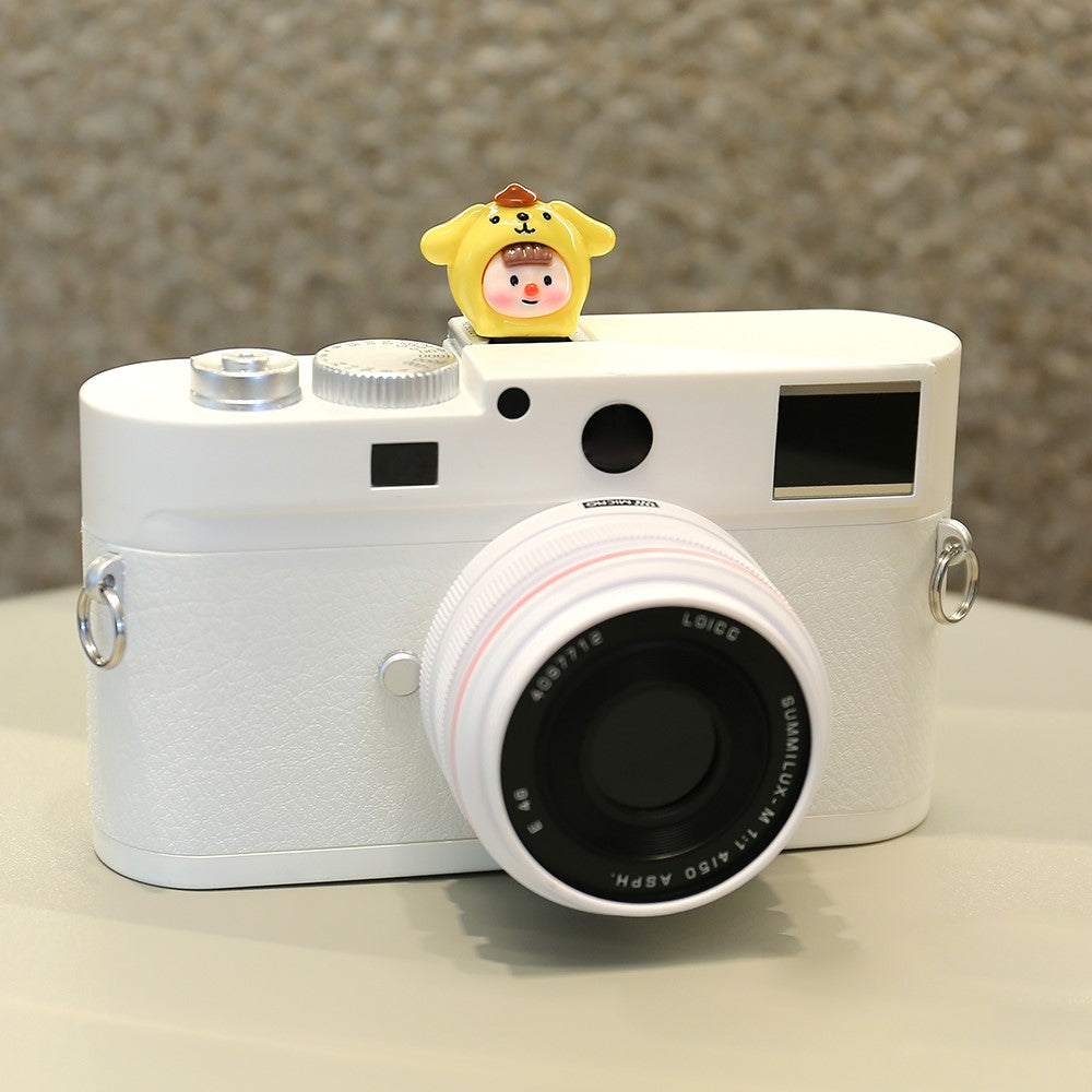 Other Camera Accessories 