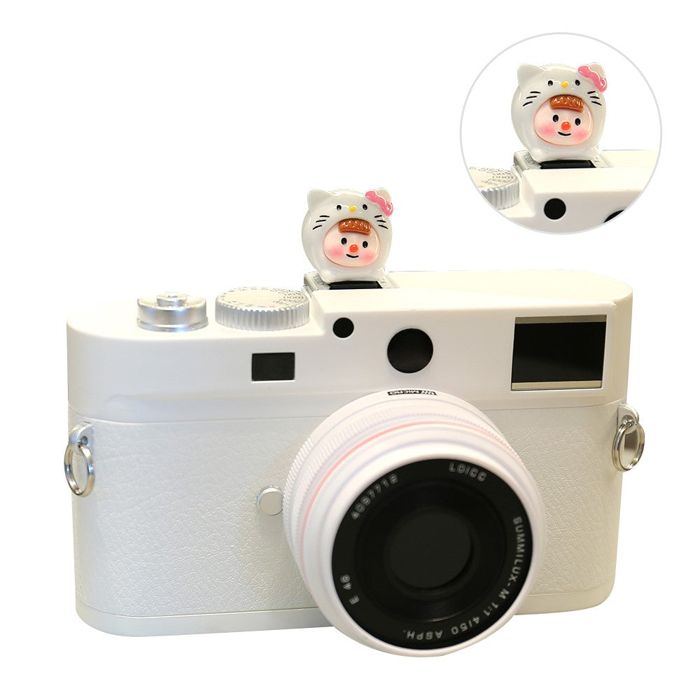 Other Camera Accessories 