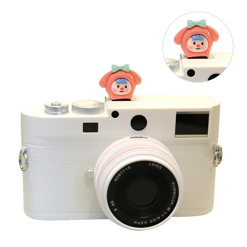Other Camera Accessories 