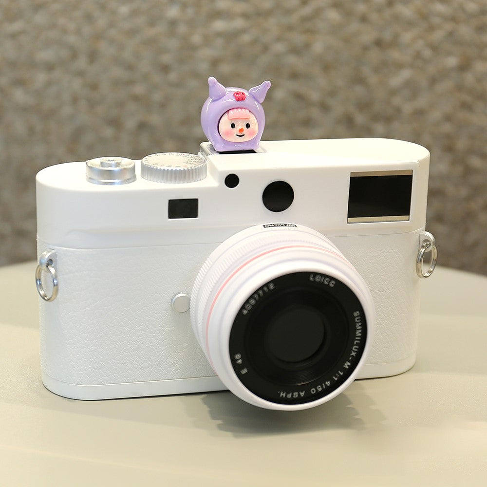Other Camera Accessories 