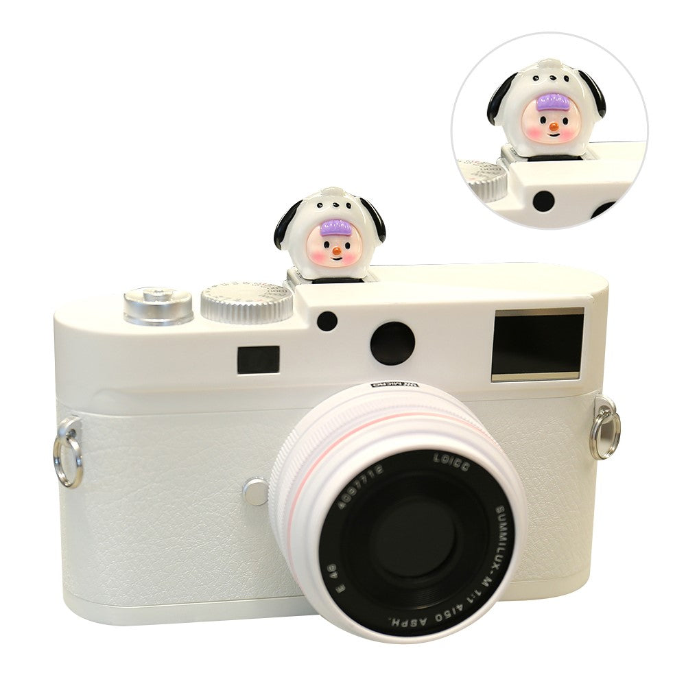 Other Camera Accessories 