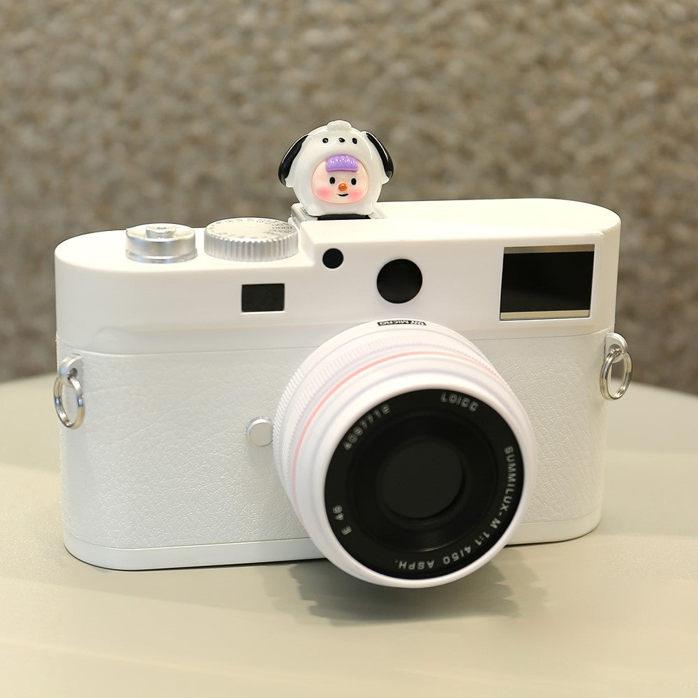 Other Camera Accessories 