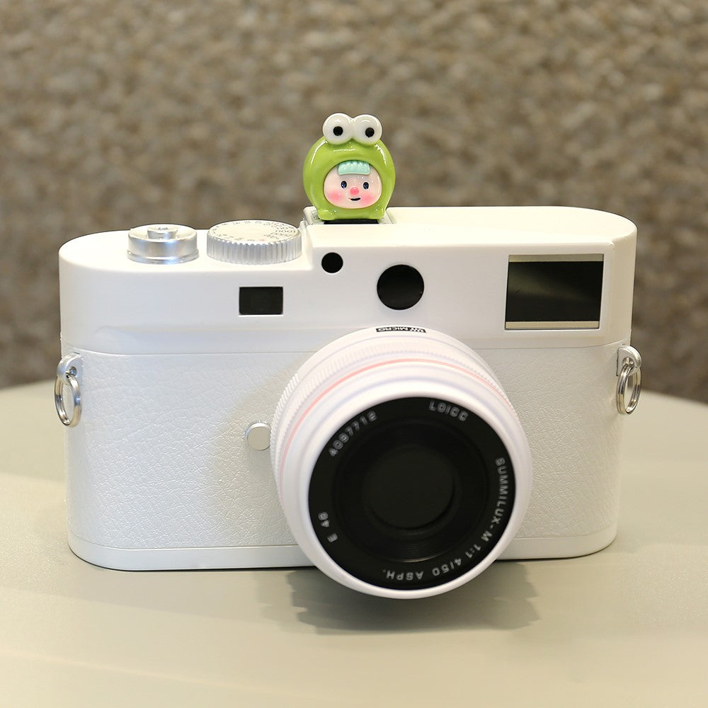 Other Camera Accessories 