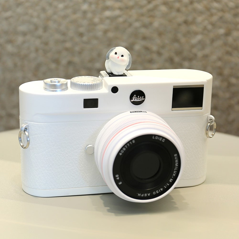 Other Camera Accessories 