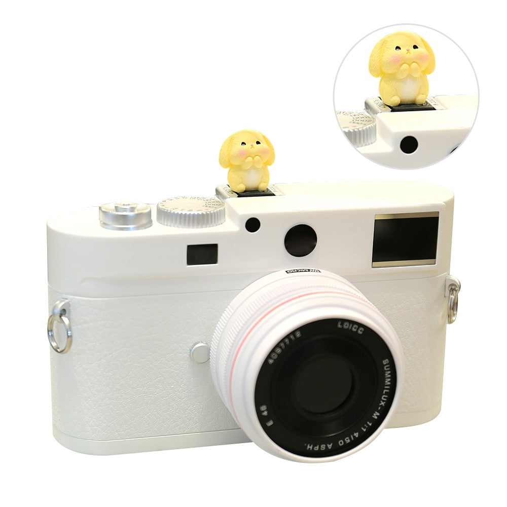Other Camera Accessories 