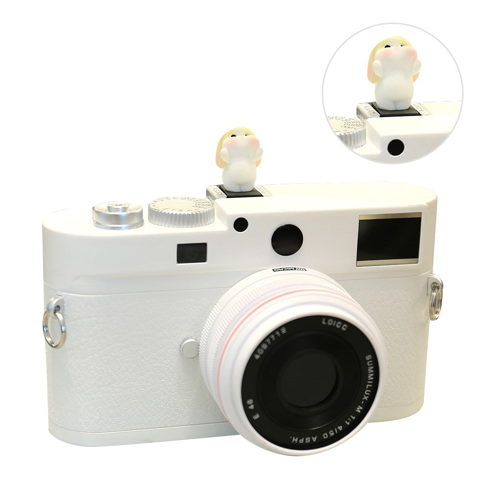 Other Camera Accessories 