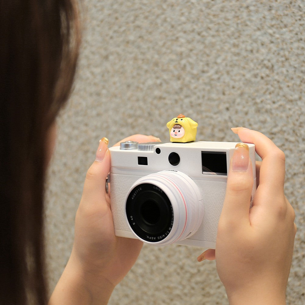 Other Camera Accessories 