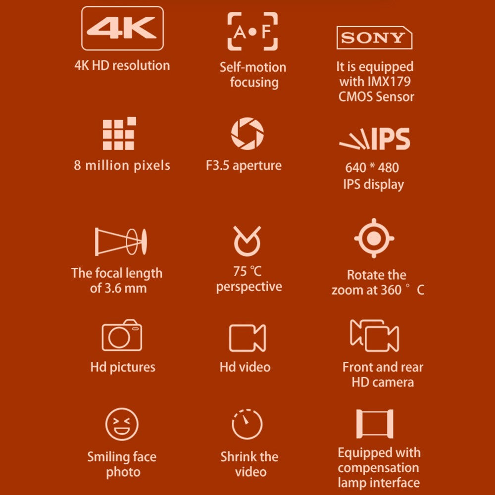 Digital Cameras 