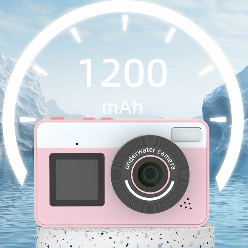 Digital Cameras 
