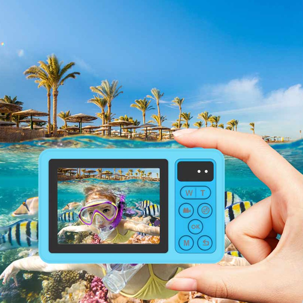 Digital Cameras 
