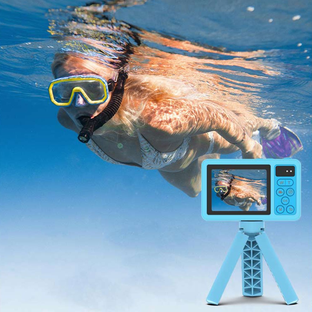 Digital Cameras 