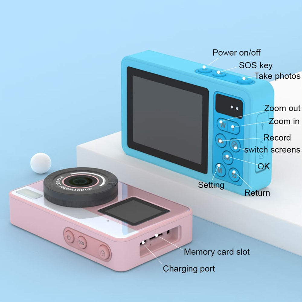 Digital Cameras 